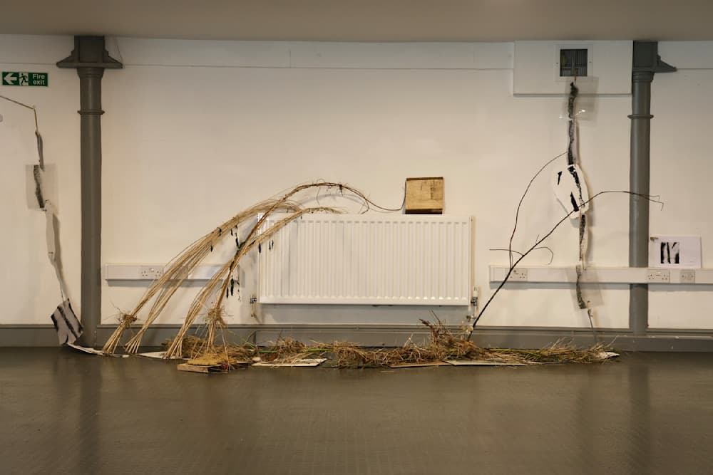 Shelter — Installation of willow tree branch, grass, lime tree branch, mud, bind weed, wood block, yarn, snake skin, screen prints, art book, and a video — Jay Lee