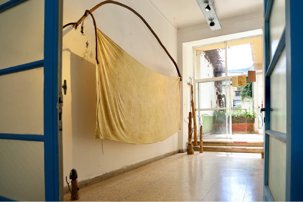 Making a Forest — Local Plants — Natural-dyed with plane tree leaves and natural red earth pigment from Misiones, Argentina on canvas, installed with leaves and branches of plane tree — Jay Lee