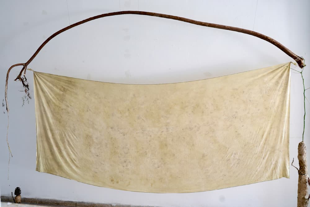 Palo Borracho Dreams — Natural dye and ecoprint on linen with silk floss tree (palo borracho) flowers, installed with false coffee tree branch, false pepper tree leaves and seeds — Jay Lee