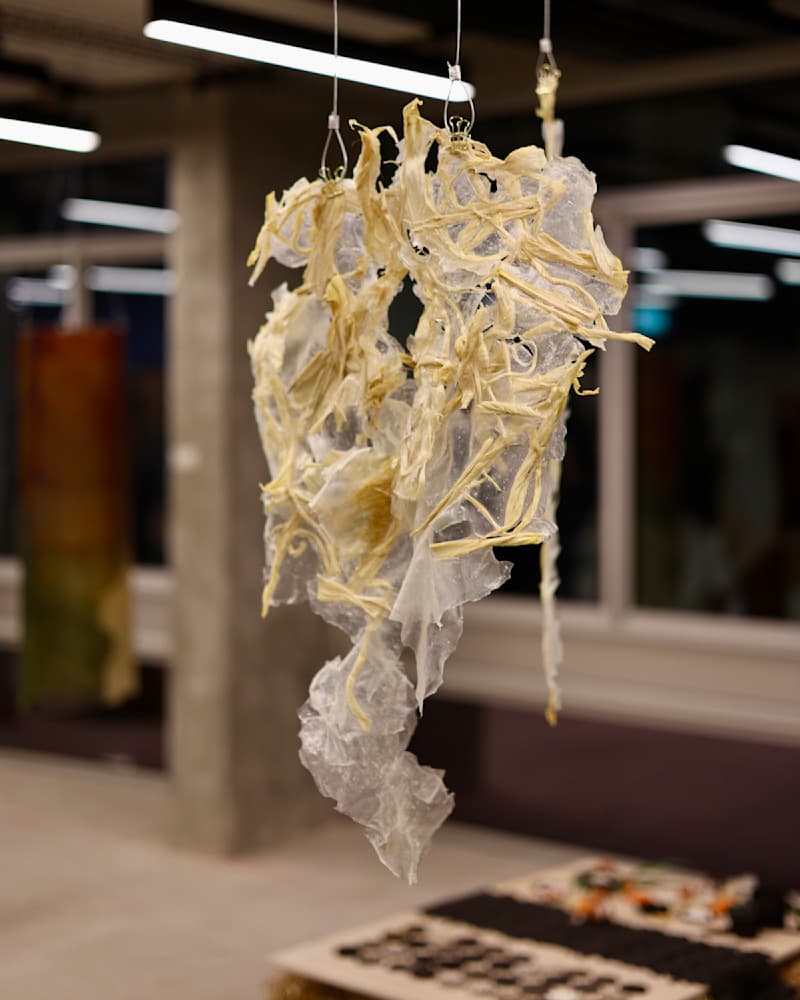 Jay Lee — United Kingdom