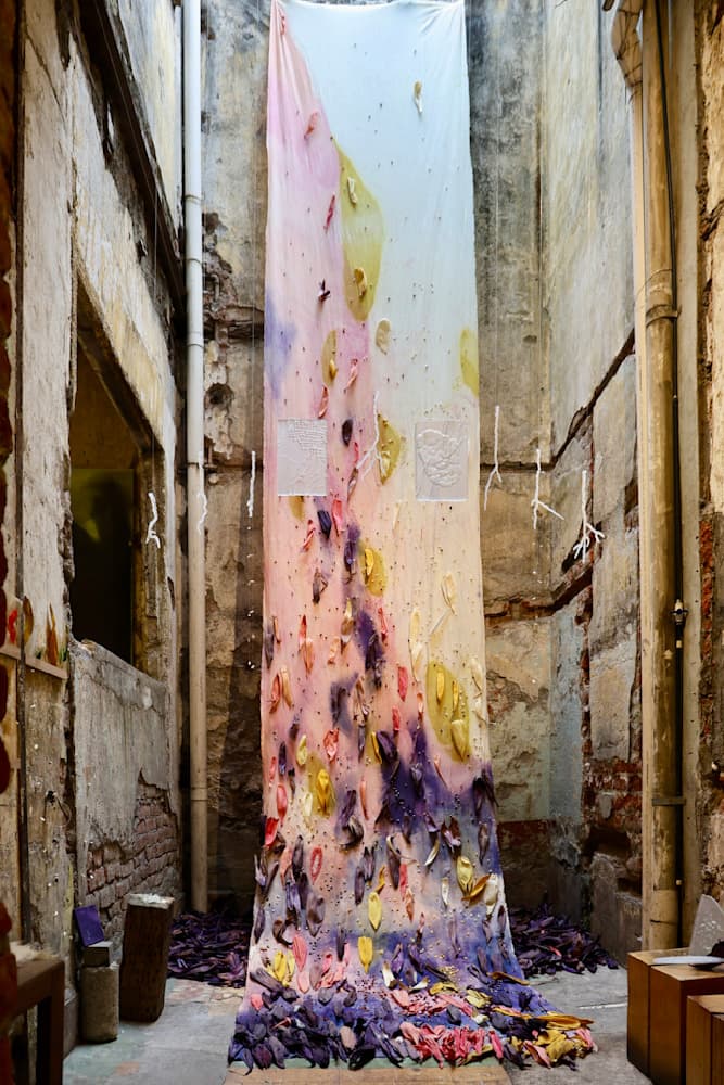 Memories of Corn and Rice